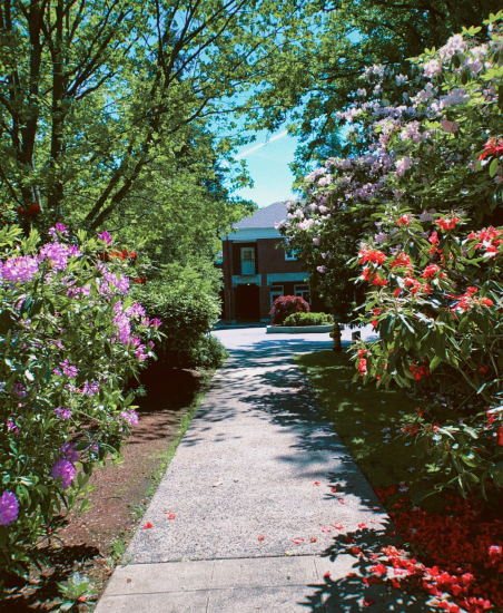 Walkway at Lakeside School